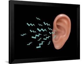 Sound Entering Human Outer Ear, Illustration-Gwen Shockey-Framed Giclee Print