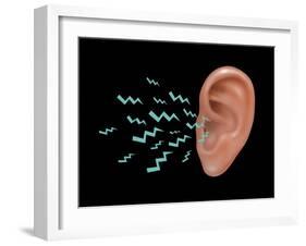 Sound Entering Human Outer Ear, Illustration-Gwen Shockey-Framed Giclee Print