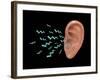 Sound Entering Human Outer Ear, Illustration-Gwen Shockey-Framed Giclee Print