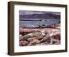 Sound of Iona, the Burg from the North Shore-Francis Campbell Boileau Cadell-Framed Giclee Print