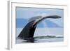 Sounding Humpback Whale, Alaska-Paul Souders-Framed Photographic Print