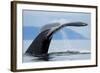 Sounding Humpback Whale, Alaska-Paul Souders-Framed Photographic Print