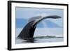 Sounding Humpback Whale, Alaska-Paul Souders-Framed Photographic Print