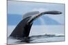Sounding Humpback Whale, Alaska-Paul Souders-Mounted Photographic Print