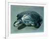 Soup Tureen in Form of a Turtle, 1790s-null-Framed Giclee Print