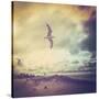 Stretched Canvas