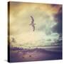 Stretched Canvas