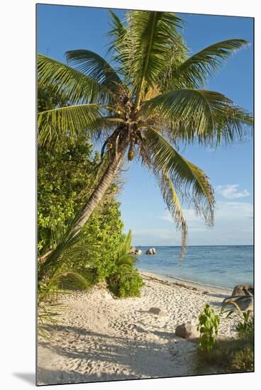 Source D'argent Beach, La Digue, Seychelles, Indian Ocean Islands-Guido Cozzi-Mounted Premium Photographic Print