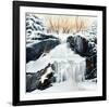 Source gelée-Sylvia Audet-Framed Art Print