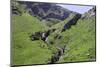 Source of River Neste De Saux at 2400M on the French Border with Spain-Nick Upton-Mounted Photographic Print