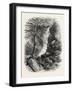 Source of the Roanoke, Virginia, USA, 1870s-null-Framed Giclee Print