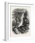 Source of the Roanoke, Virginia, USA, 1870s-null-Framed Giclee Print