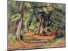 Sous-Bois 1890-94-Paul Cézanne-Mounted Premium Giclee Print