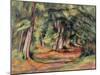 Sous-Bois 1890-94-Paul Cézanne-Mounted Giclee Print