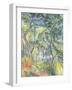 Sous-Bois, c.1894-Paul Cezanne-Framed Giclee Print