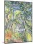 Sous-Bois, c.1894-Paul Cezanne-Mounted Giclee Print