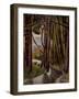 Sous-bois-Roger de la Fresnay-Framed Giclee Print