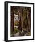 Sous-bois-Roger de la Fresnay-Framed Giclee Print