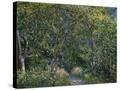 Stretched Canvas