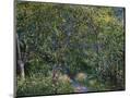 Wood Mount