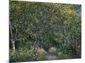 Wood Mount