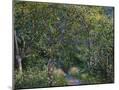 Wood Mount