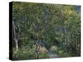 Stretched Canvas