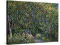 Stretched Canvas