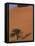 Soussevlei Sand Dune at Sunrise, Namibia-Claudia Adams-Framed Stretched Canvas