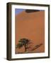 Soussevlei Sand Dune at Sunrise, Namibia-Claudia Adams-Framed Photographic Print