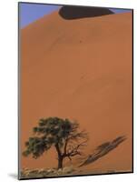 Soussevlei Sand Dune at Sunrise, Namibia-Claudia Adams-Mounted Photographic Print