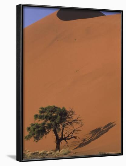 Soussevlei Sand Dune at Sunrise, Namibia-Claudia Adams-Framed Photographic Print