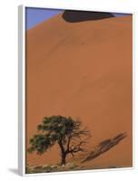 Soussevlei Sand Dune at Sunrise, Namibia-Claudia Adams-Framed Photographic Print