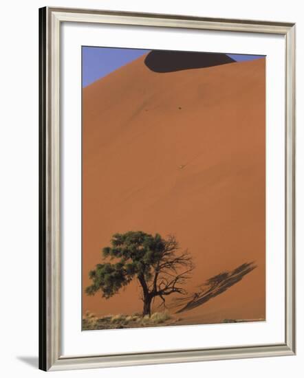 Soussevlei Sand Dune at Sunrise, Namibia-Claudia Adams-Framed Photographic Print