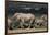 South Africa, Addo Elephant National Park, Elephants Gathering around Water Hole-Paul Souders-Framed Photographic Print