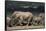 South Africa, Addo Elephant National Park, Elephants Gathering around Water Hole-Paul Souders-Framed Stretched Canvas