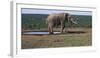 South Africa, Addo Elephant National Park, View of African Elephant-Paul Souders-Framed Photographic Print