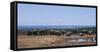 South Africa, African Elephant in Addo Elephant National Park-Paul Souders-Framed Stretched Canvas