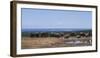 South Africa, African Elephant in Addo Elephant National Park-Paul Souders-Framed Photographic Print