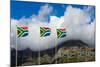 South Africa, Bay, Blowing Flags-Catharina Lux-Mounted Photographic Print