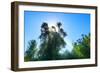 South Africa, Candelabra Aloe-Catharina Lux-Framed Photographic Print