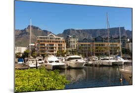 South Africa, Cape Town, Boat Harbour-Catharina Lux-Mounted Photographic Print