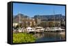 South Africa, Cape Town, Boat Harbour-Catharina Lux-Framed Stretched Canvas