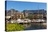 South Africa, Cape Town, Boat Harbour-Catharina Lux-Stretched Canvas