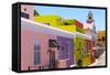 South Africa, Cape Town, Bokaap, Historic District-Catharina Lux-Framed Stretched Canvas