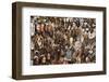 South Africa, Cape Town, Green Market Square, Masks-Catharina Lux-Framed Photographic Print