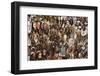 South Africa, Cape Town, Green Market Square, Masks-Catharina Lux-Framed Photographic Print