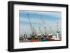 South Africa, Cape Town, Port Cranes-Catharina Lux-Framed Photographic Print