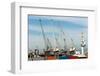 South Africa, Cape Town, Port Cranes-Catharina Lux-Framed Photographic Print