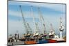 South Africa, Cape Town, Port Cranes-Catharina Lux-Mounted Photographic Print